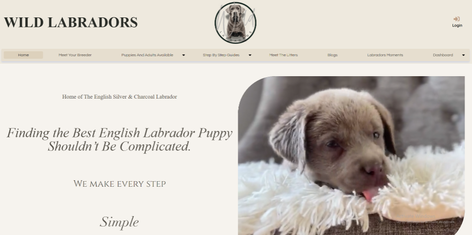 Homepage & Puppy Discovery