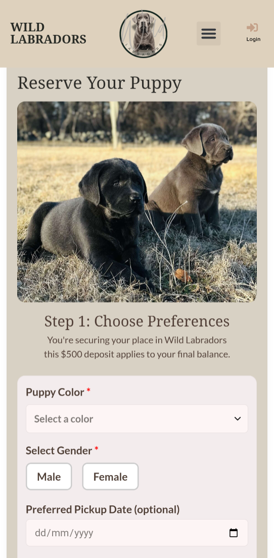 Preference Selection